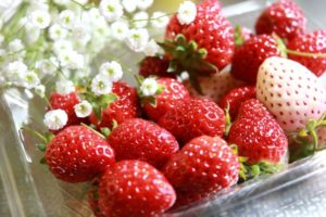 タルギボンボン（韓国スイーツ）が日本で食べられるお店を紹介♪