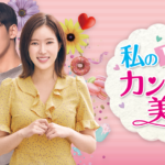 私のIDはカンナム美人1話から最終回まで日本語字幕付無料動画を紹介