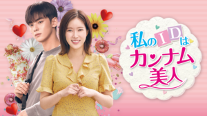 私のIDはカンナム美人1話から最終回まで日本語字幕付無料動画を紹介