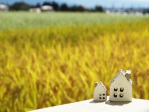 三食ごはん（韓国）ゲスト一覧！最新シリーズなど動画無料視聴も